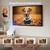 image:imageCaydo P3 Art Projector with Exclusive Drawing App for Artists Portable Auto Focus amp Keystone Native 1080P Projector for Drawing and Tracing 40120 Projection Compatible with iOSAndroid