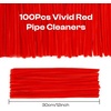 image:imageCaydo 100 Pieces Moss Green Pipe Cleaners Craft Flexible Chenille Stems Bulk for Kids DIY Arts Crafts Project and Home Decoration 6 mm x 12 InchBright Red