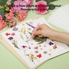 image:imageCaydo 118 x 83 Flower Press Kit for DIY Bookmark Pressed Flower Frame amp 20pcs 98 x 78 Blotting Paper for Flower Press