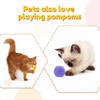 image:imageCaydo 130pcs 30pcs 2 Inch Large Pom Poms with 100pcs Wiggly Eyes Multicolor Pompoms for Valentines Day Decorations Arts and Crafts Kids DIY Projects