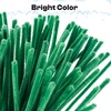 image:imageCaydo 200 Pieces Orange Pipe Cleaners for Flowers Making Craft Chenille Stems for Kids Creative DIY Art Crafts and Home Decorations 12 Inch x 6 mmDark Green
