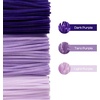 image:imageCaydo 200 Pieces Orange Pipe Cleaners for Flowers Making Craft Chenille Stems for Kids Creative DIY Art Crafts and Home Decorations 12 Inch x 6 mmGradient Purple