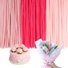 image:imageCaydo 200 Pieces Orange Pipe Cleaners for Flowers Making Craft Chenille Stems for Kids Creative DIY Art Crafts and Home Decorations 12 Inch x 6 mmGradient Pink