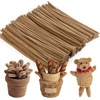 image:imageCaydo 200 Pieces Orange Pipe Cleaners for Flowers Making Craft Chenille Stems for Kids Creative DIY Art Crafts and Home Decorations 12 Inch x 6 mmLight Brown