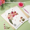 image:imageCaydo 20pcs Large 15 x 10 Inch Blotting Paper for Flower Press Highly Absorbent and Reusable Blotter Papers for Pressing Flower amp Herbarium Herbs Simply Cutting Blotter Sheets for Craft Supplies15 x 10