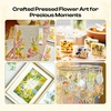 image:imageCaydo 20pcs Large 98 x 78 Blotting Paper for Flower Press Kit 83x118 Highly AbsorbentampReusable Blotter Papers for Flower Press amp Herbarium Simply Cutting Blotter Sheets for Craft Supplies15x11 flower press kit