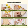image:imageCaydo 20pcs Large 98 x 78 Blotting Paper for Flower Press Kit 83x118 Highly AbsorbentampReusable Blotter Papers for Flower Press amp Herbarium Simply Cutting Blotter Sheets for Craft Supplies15x11 flower press kit