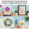image:imageCaydo 4 Pieces Paper Making Frame Kit 98 x 1375 x 985 x 7 45 x 57 amp Wooden Flower Press Kit 11x11 10 Layers for Adults