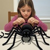image:imageCaydo 50PCS Extra Thick Pipe Cleaners with 100pcs Eyes Jumbo Black Chenille Stems for Kids Craft DIY Projects Creative Home Decoration30 mm x 12 InchBlack