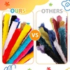 image:imageCaydo 50PCS Extra Thick Pipe Cleaners with 100pcs Eyes Jumbo Black Chenille Stems for Kids Craft DIY Projects Creative Home Decoration30 mm x 12 InchMulticolor