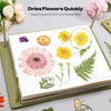 image:imageCaydo Flower Press Kit 12 x 85 inches Flowers Pressing Kit amp Wooden Flower Press 11x11 10 Layers for Adults