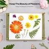 image:imageCaydo Flower Press Kit 12 x 85 inches Flowers Pressing Kit amp Wooden Flower Press 11x11 10 Layers for Adults