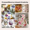 image:imageCaydo Large Flower Press Kit for Adults amp Teens 11x11 10 Layers Flower Pressing Kit for Pressed Flowers Herbs amp Leaves Flowers Bouquet Preservation Kit for Bookmarks Wedding and Craft Projects