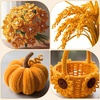 image:imageCaydo 200 Pieces Halloween Pipe Cleaners with 100PCS Wiggle Eyes 8 ColorsBlonde