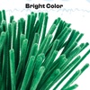 image:imageCaydo 200 Pieces Halloween Pipe Cleaners with 100PCS Wiggle Eyes 8 ColorsDark Green