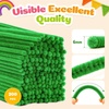 image:imageCaydo 200 Pieces Halloween Pipe Cleaners with 100PCS Wiggle Eyes 8 ColorsFruit Green