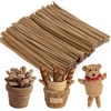 image:imageCaydo 200 Pieces Halloween Pipe Cleaners with 100PCS Wiggle Eyes 8 ColorsLight Brown
