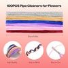 image:imageCaydo 200 Pieces Halloween Pipe Cleaners with 100PCS Wiggle Eyes 8 ColorsWine Red